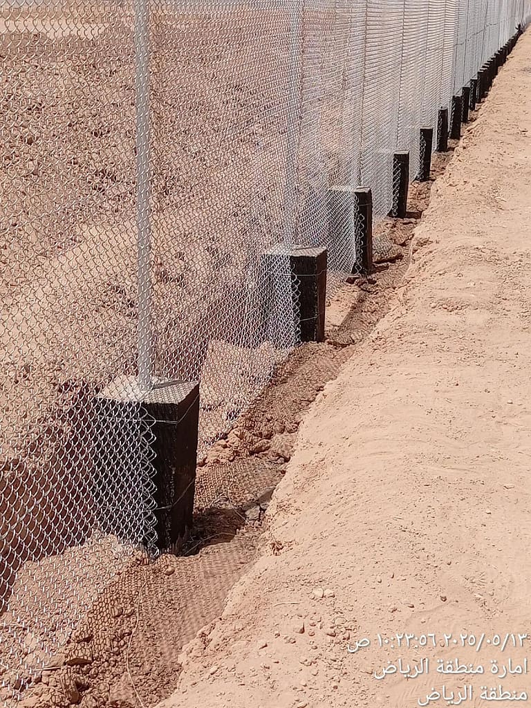 الهفوف والمبرز